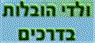 ולדי-הובלות בדרכים באשדוד ולדי-הובלות בדרכים באשדוד