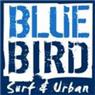בלו בירד Blue Bird במודיעין-מכבים-רעות