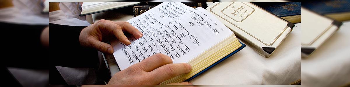 הרב שאול דוד בורשטיין - תמונה ראשית
