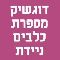 דוגשיק מספרת כלבים ניידת באילת דוגשיק מספרת כלבים ניידת באילת
