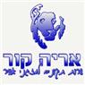 אריה קור
