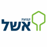 לוגו של קבוצת אשל קבוצת אשל - תמונת לוגו