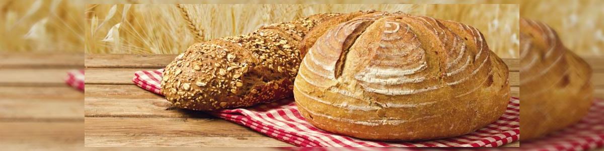 הלחם של תומר - תמונה ראשית