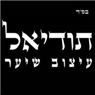 לוגו של תודיאל עיצוב שיער - תמונת לוגו
