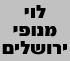 לוגו של לוי מנופים לוי מנופים - תמונת לוגו