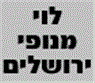 לוגו של לוי מנופים לוי מנופים - תמונת לוגו