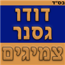 לוגו של דודו גסנר צמיגים דודו גסנר צמיגים - תמונת לוגו