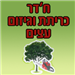  - תמונה