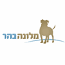 מלונה בהר בהר אדר מלונה בהר בהר אדר