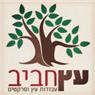 עץ חביב מחסן עץ בבר גיורא עץ חביב מחסן עץ בבר גיורא