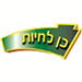 תומר - תמונה תומר - תמונה