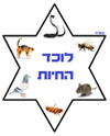 לוכד החיות באשקלון לוכד החיות באשקלון