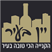 עמית - תמונה עמית - תמונה