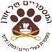 אורן - תמונה