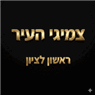 צמיגי העיר ראשון לציון