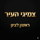 צמיגי העיר ראשון לציון בראשון לציון