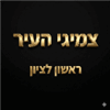 גלגלי העיר - חילוץ ופנצ'רים - תמונה