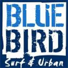 בלו בירד Blue Bird בראשון לציון