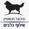 אילוף כלבים- משמעת והגנה בסביון אילוף כלבים- משמעת והגנה בסביון