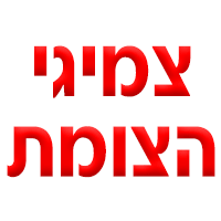 צמיגי הצומת בחיפה צמיגי הצומת בחיפה