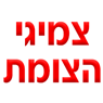 לוגו של צמיגי הצומת צמיגי הצומת - תמונת לוגו