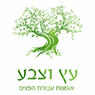 בנייה עץ וצבע בירושלים בנייה עץ וצבע בירושלים