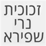 זכוכית נרי שפירא