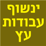 ינשוף עבודות עץ בבית אלפא ינשוף עבודות עץ בבית אלפא