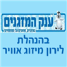 לוגו של לירון מיזוג אוויר - ענק המזגנים לירון מיזוג אויר - תמונת לוגו