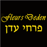 לוגו של פרחי עדן-מרכז שוסטר פרחי עדן-מרכז שוסטר - תמונת לוגו