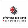 לוגו של ברכה כהן אדריכלים - תמונת לוגו