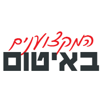 לוגו של המקצוענים באיטום המקצוענים באיטום - תמונת לוגו