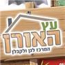 עץ האורן - המרכז לגן ולקבלן בצפת עץ האורן - המרכז לגן ולקבלן בצפת