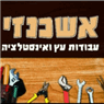 אשכנזי אינסטלציה בבאר יעקב