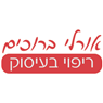 לוגו של אורלי ברוכים - מרפאה בעיסוק התפתחותית אורלי ברוכים - מרפאה בעיסוק התפתחותית - תמונת לוגו