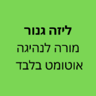 ליזה גנור מורה לנהיגה אוטומט בלבד בפתח תקווה
