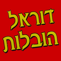 לוגו של דוראל הובלות דוראל הובלות - תמונת לוגו