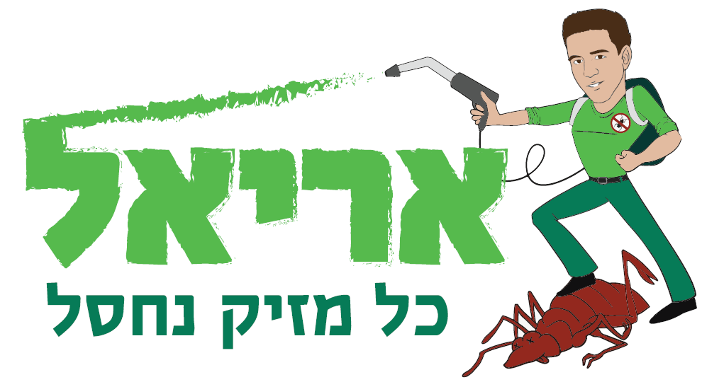 אריאל הדברות בתל אביב אריאל הדברות בתל אביב