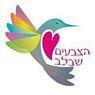 הצבעים שבלב באשדוד הצבעים שבלב באשדוד