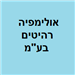 - תמונה - תמונה
