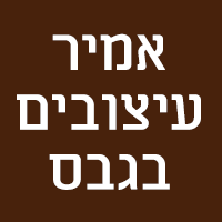 אמיר עיצובים בגבס בבאר שבע אמיר עיצובים בגבס בבאר שבע