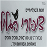יקיר חנות חיות-ציפורי הגליל בטבריה יקיר חנות חיות-ציפורי הגליל בטבריה
