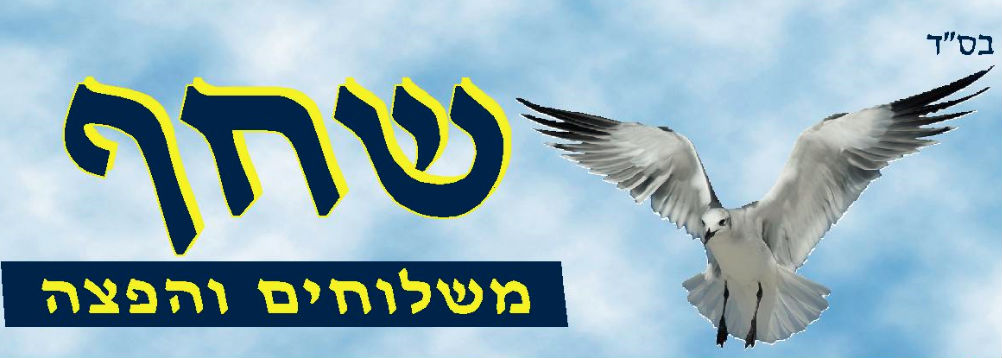 שחף שליחויות והפצה בירושלים שחף שליחויות והפצה בירושלים