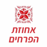 פרחי האחוזה איריס בחיפה פרחי האחוזה איריס בחיפה