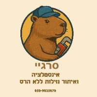 סרגיי טרושין שיפוצים בקרית מוצקין