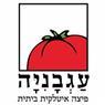 לוגו של פיצה עגבניה - תמונת לוגו