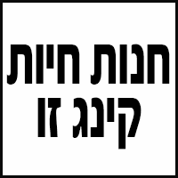 חנות חיות-קינג זו בטירה