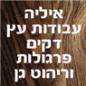 לוגו של איליה עבודות עץ - תמונת לוגו