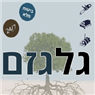 גל גזם- כריתה וגיזום עצים במגדל העמק גל גזם- כריתה וגיזום עצים במגדל העמק