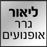 לוגו של ליאור גרר אופנועים - תמונת לוגו